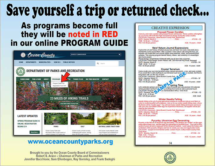 flyer depicting information on page