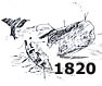 illustration of whale