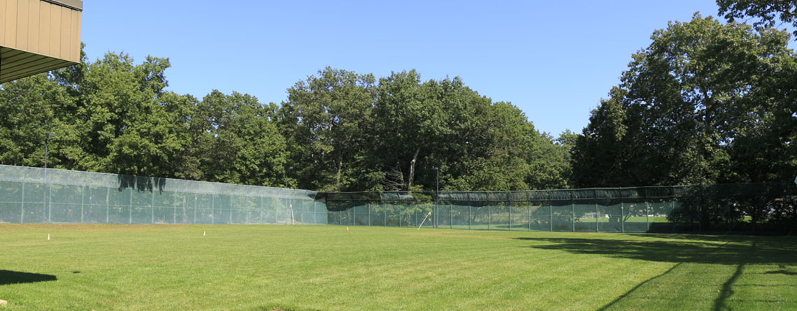 sports field