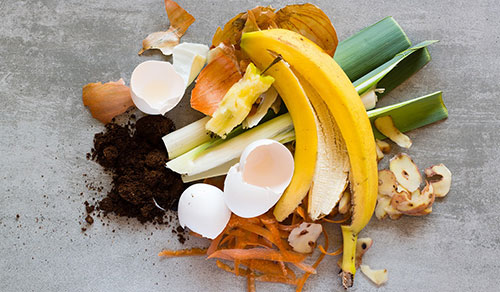 How to Compost