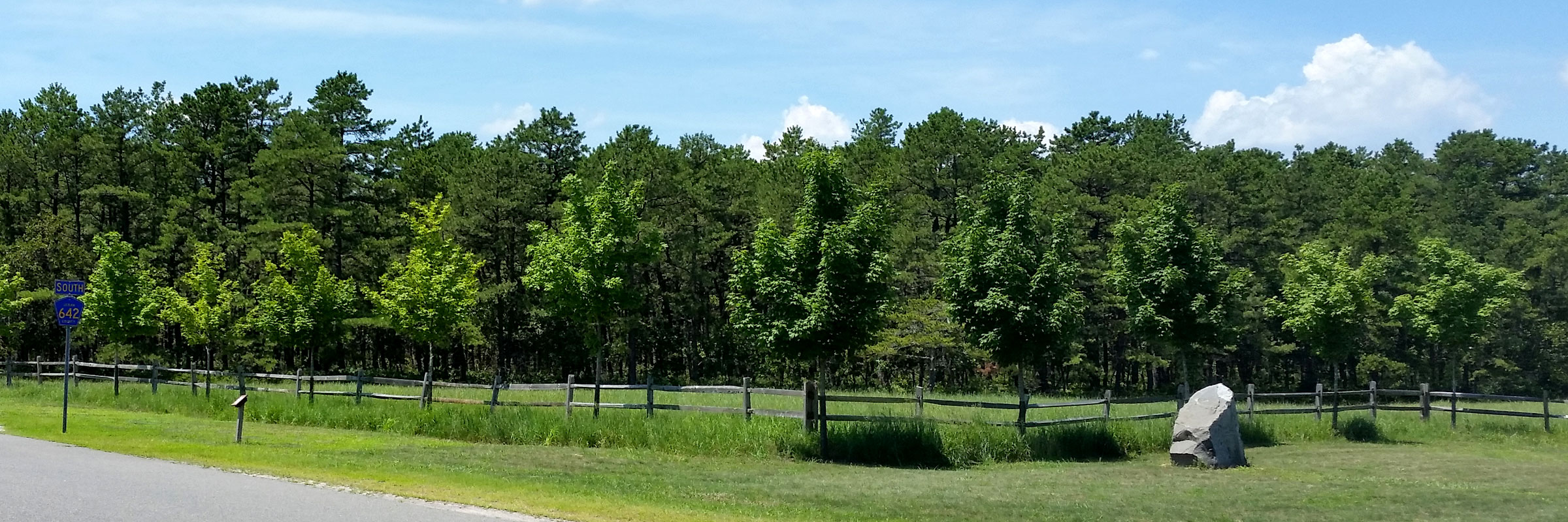 Shade Tree Commission Project