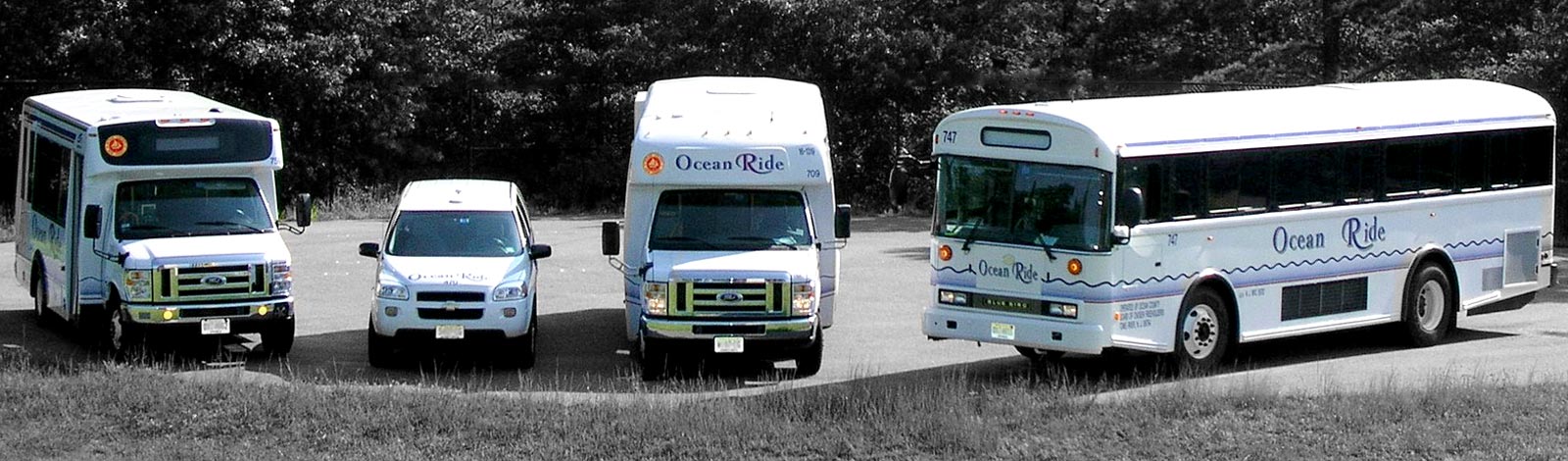Different type of vehicles offered by Ocean Ride.