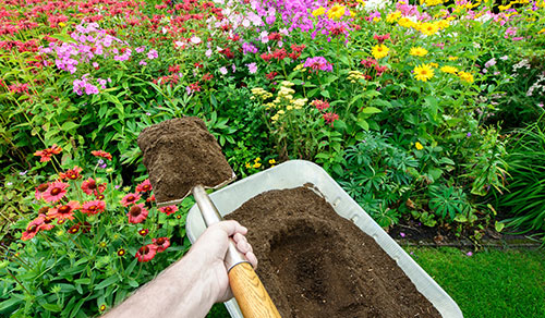 Free Mulch, Compost and Woodchips