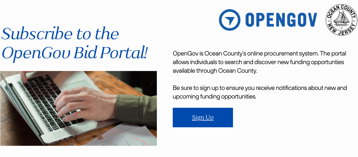 Open Gov Portal flyer