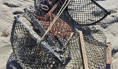 crab nets